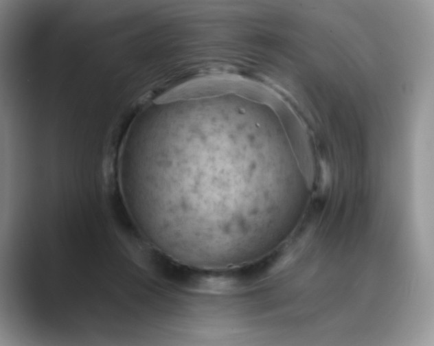 X0000089690360200707051629