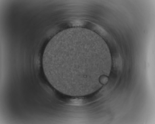 X0000089690362200707051629