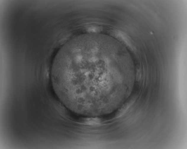 X0000089690363200707051629