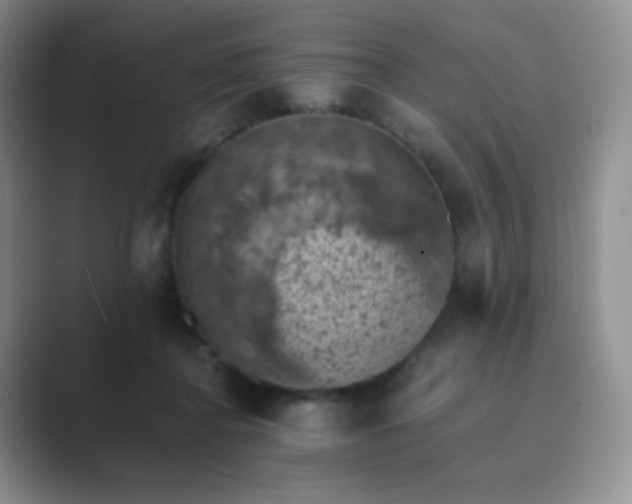 X0000089690364200707051629