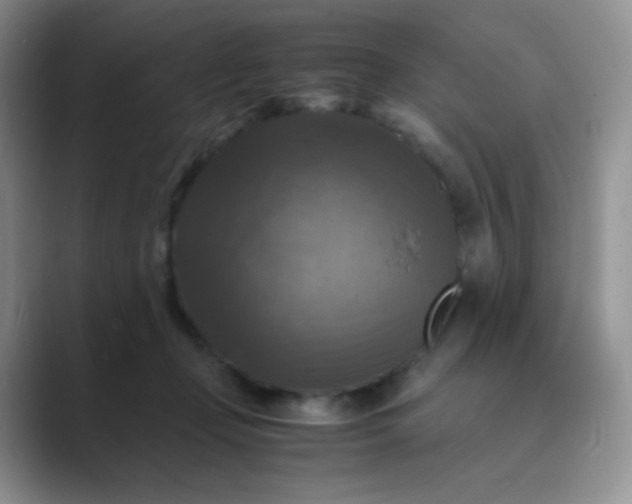 X0000089690365200707051629