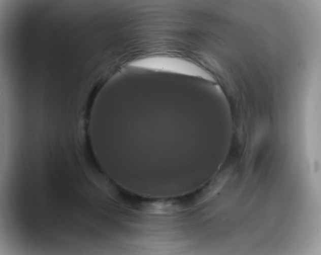 X0000089690366200707051629