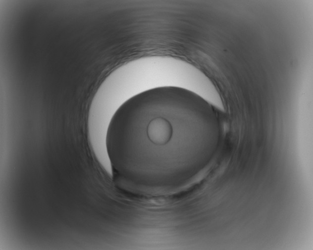 X0000089690368200707051629