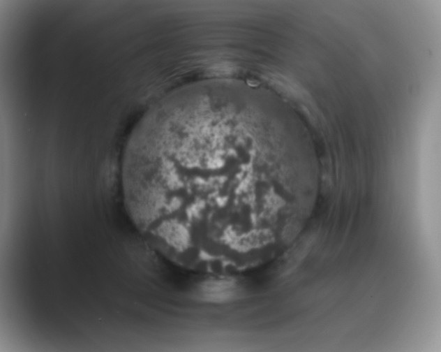 X0000089690369200707051629