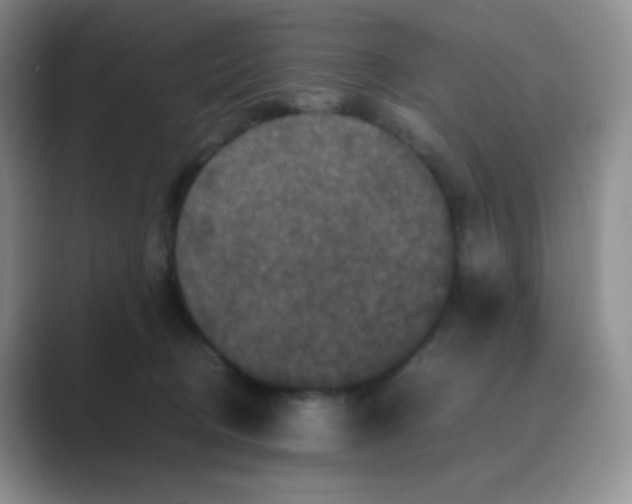 X0000089690370200707051629