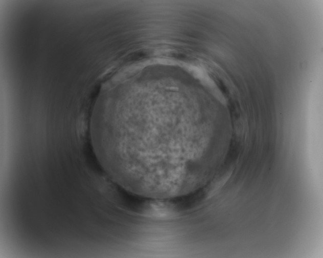 X0000089690372200707051629