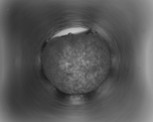 X0000089690373200707051629