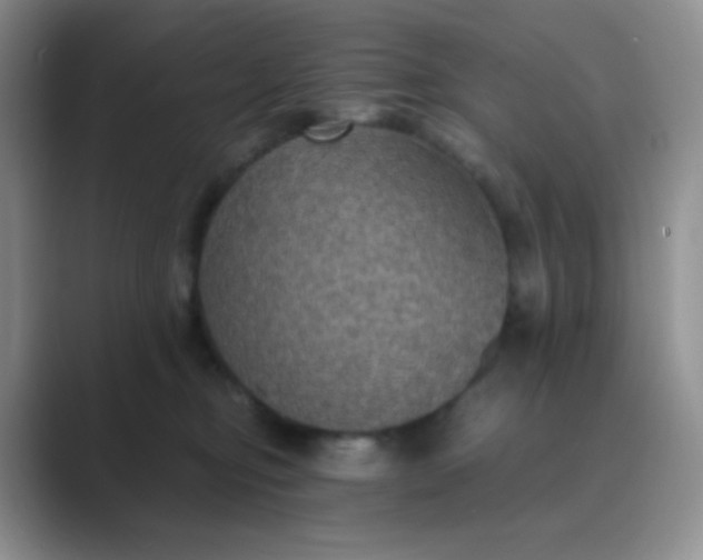 X0000089690374200707051629