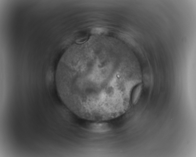 X0000089690375200707051629