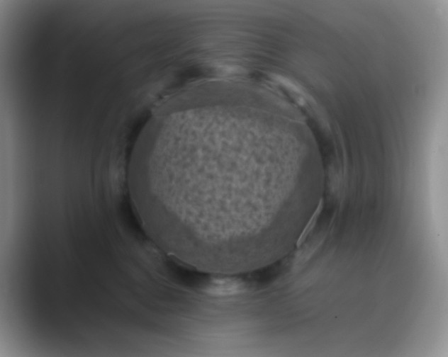 X0000089690376200707051629