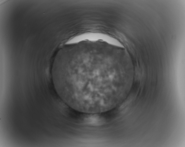 X0000089690377200707051629