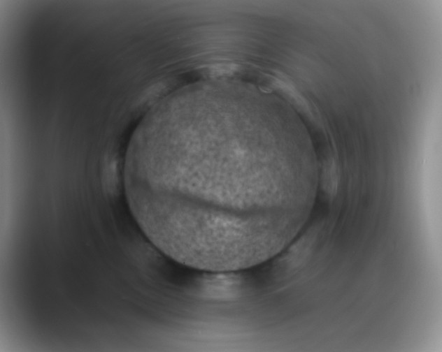 X0000089690378200707051629