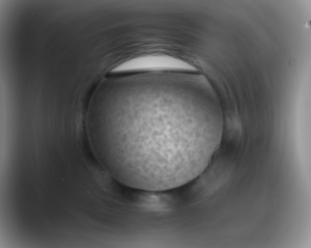 X0000089690379200707051629