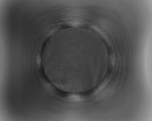 X0000089690380200707051629