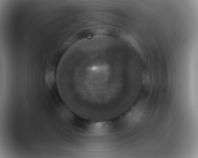 X0000089690382200707051629