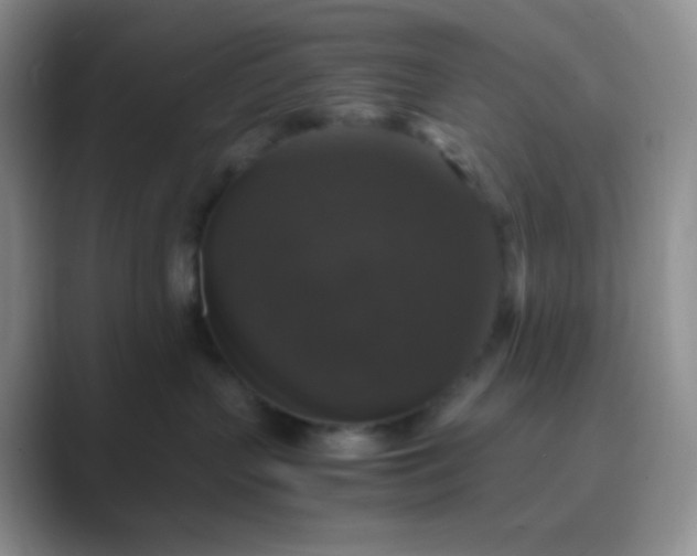 X0000089690383200707051629