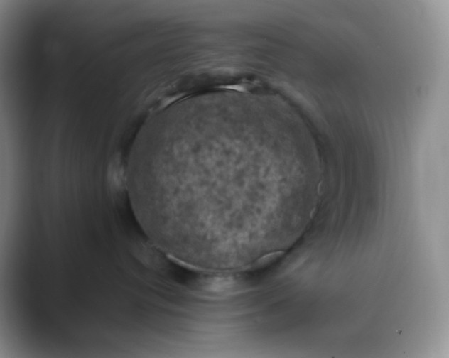 X0000089690384200707051629