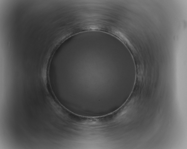 X0000089690386200707051628