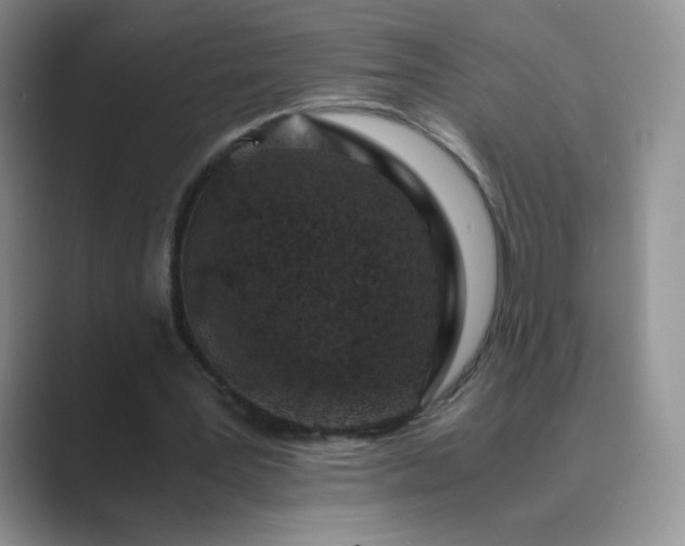 X0000089690387200707051628