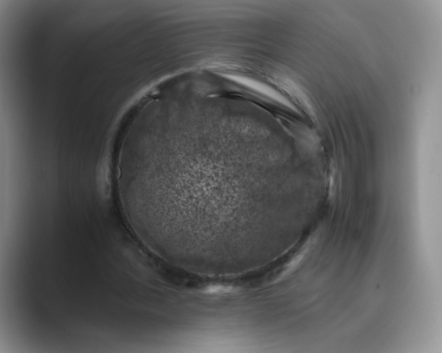 X0000089690388200707051628