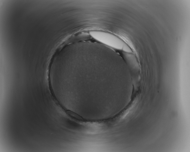 X0000089690389200707051628