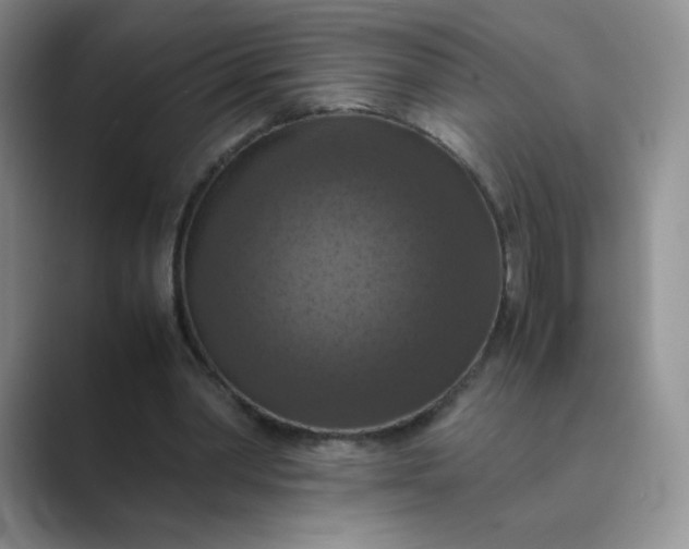 X0000089690390200707051628