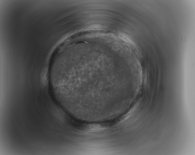 X0000089690392200707051628