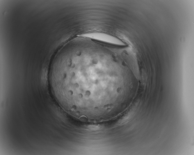 X0000089690394200707051628