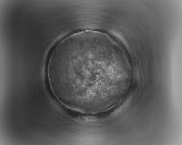 X0000089690395200707051628