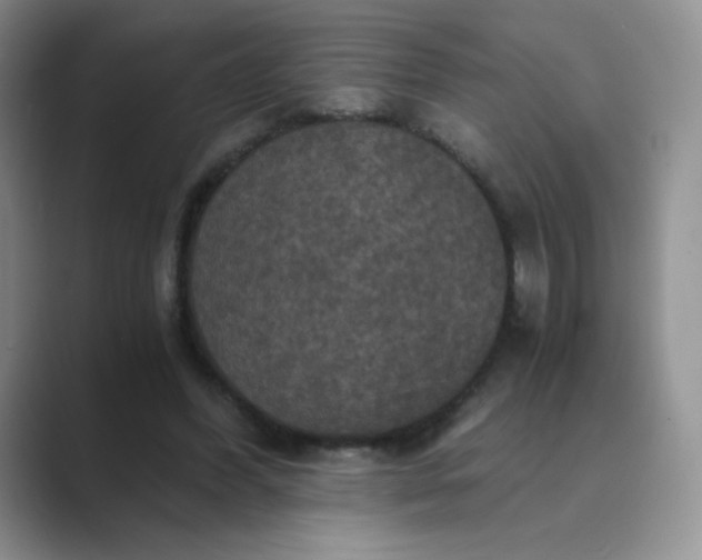 X0000089690396200707051628