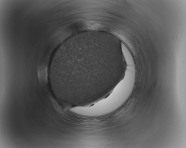 X0000089690397200707051628