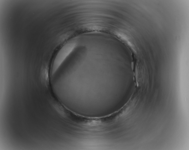 X0000089690398200707051628