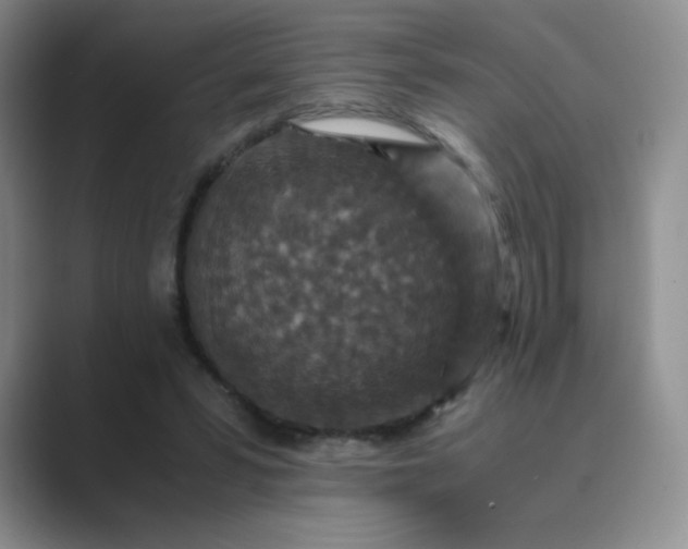 X0000089690399200707051628