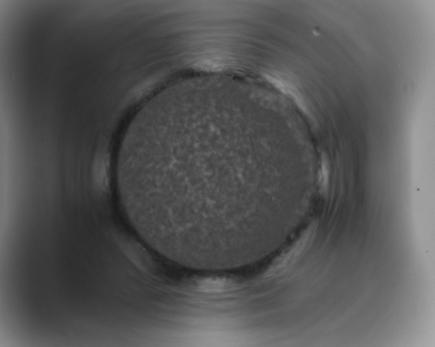 X0000089690400200707051628