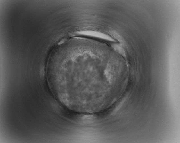 X0000089690401200707051628