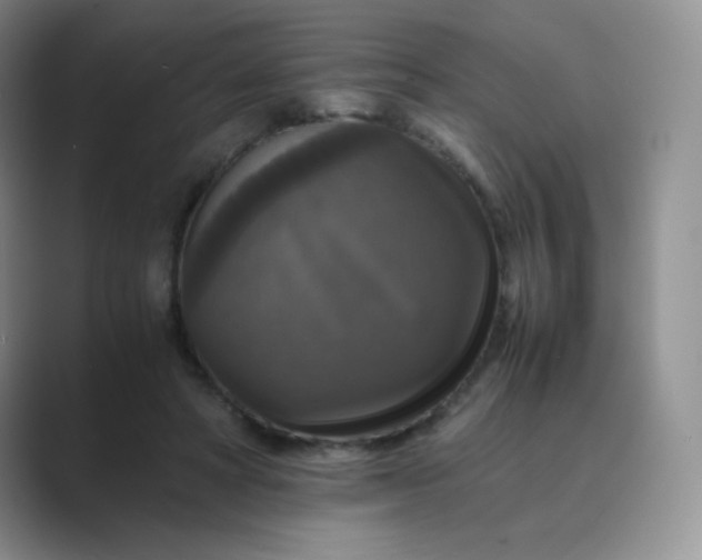 X0000089690402200707051628