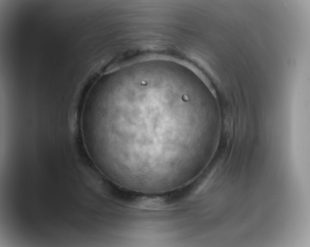 X0000089690403200707051628