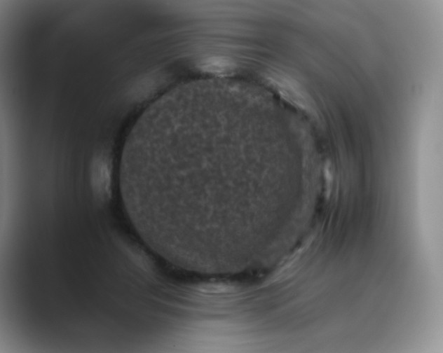 X0000089690404200707051628