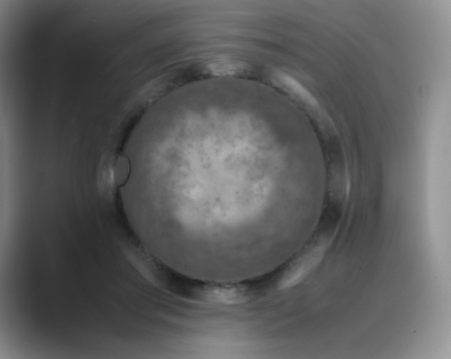 X0000089690405200707051628