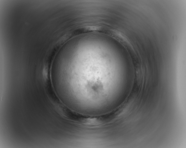 X0000089690406200707051628