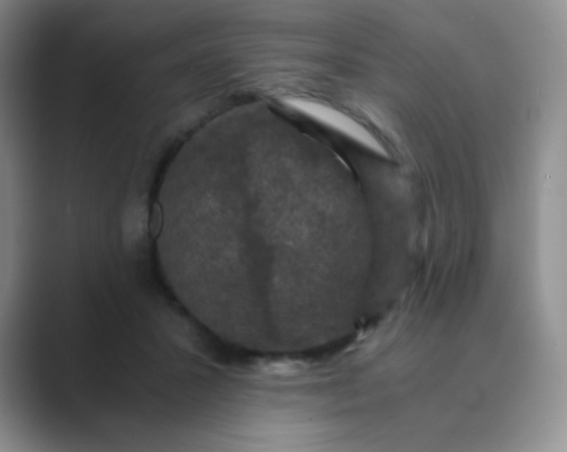 X0000089690407200707051628