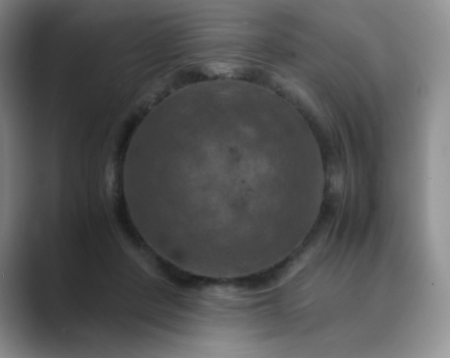 X0000089690408200707051628