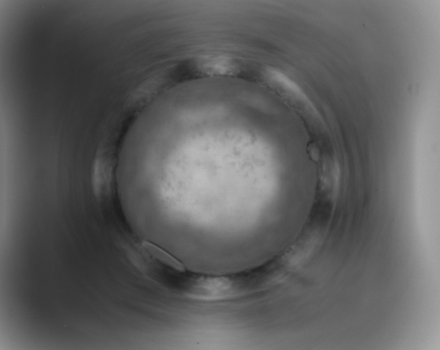 X0000089690409200707051628