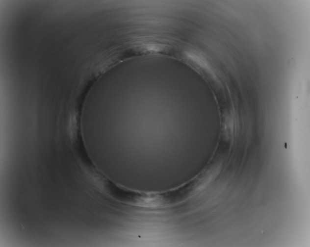 X0000089690410200707051628