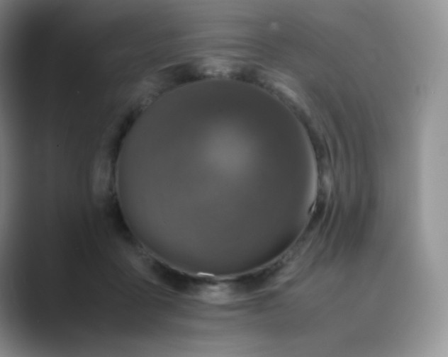 X0000089690411200707051628