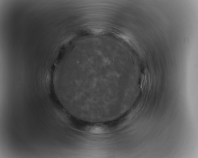 X0000089690412200707051628