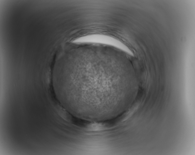 X0000089690413200707051628