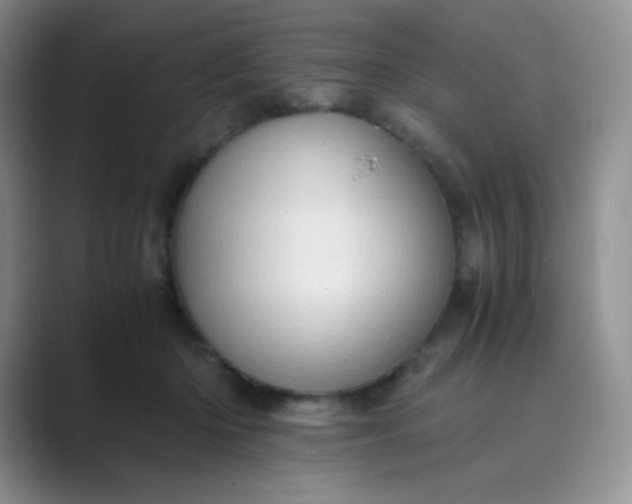 X0000089690414200707051628