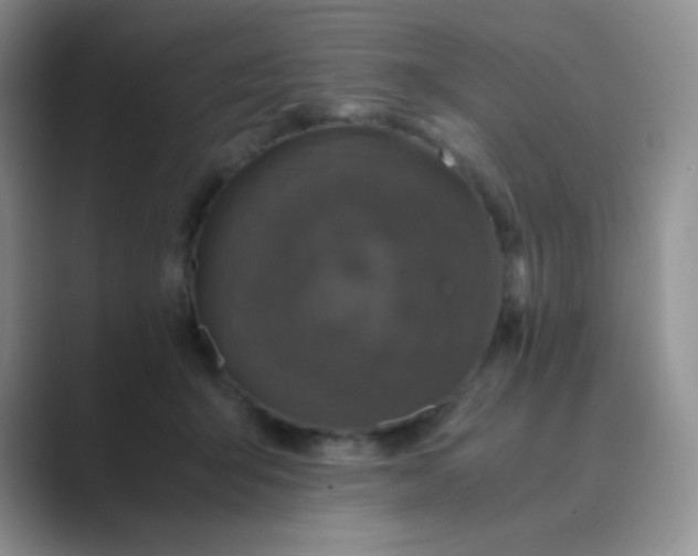 X0000089690415200707051628