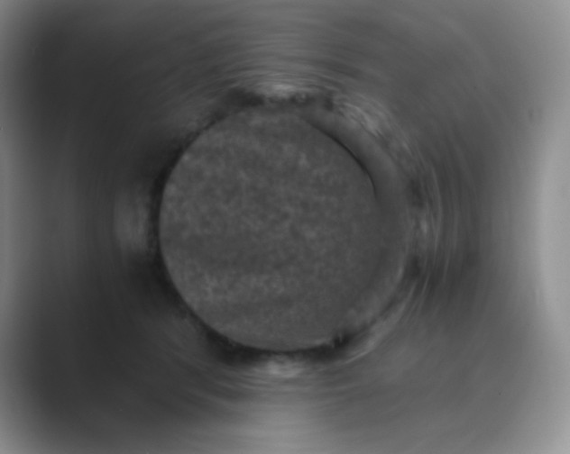 X0000089690416200707051628